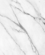  Tessoro SIENA 120 Bianco Carrara T-TS-912-BC